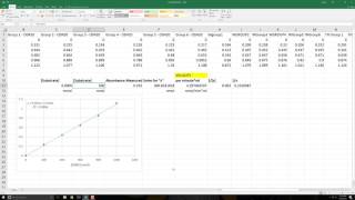 Enzyme Kinetics Calculations [upl. by Ahsienom]