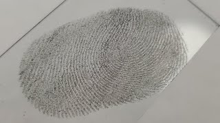 How to dust and lift a fingerprint [upl. by Keenan552]