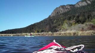 Kayaking Cowichan River [upl. by Otrebtuc]