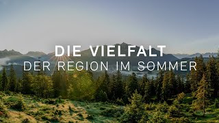 Die Vielfalt der Region Seefeld im Sommer [upl. by Onaivlis165]