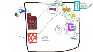 Molecular Basis of Carcinogenesis [upl. by Traci]