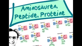 AminosäurenPeptideProteine [upl. by Atinahs879]