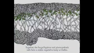 Lichen Biology [upl. by Anifur327]