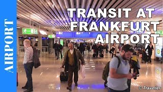 TRANSIT WALK AT FRANKFURT Airport FRA Terminal 1  Connection Flight Transfer Arriving amp Departing [upl. by Atnoek]