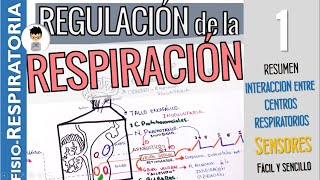 REGULACIÓN DE LA RESPIRACIÓN Resumen QUIMIORECEPTORES para la pO2 pCO2 Fisiología Respiratoria1 [upl. by Claudell]