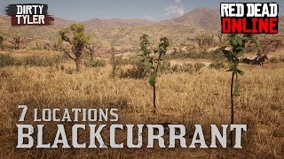 Blackcurrant Locations Red Dead Online [upl. by Akemrehs663]