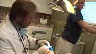 Root Canal Retreatment Demonstration [upl. by Lytsirhc]