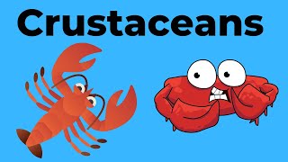 Characteristics of Crustaceans [upl. by Eri]