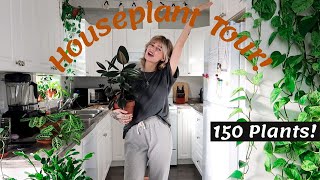 Houseplant Tour 2020  150 plants in my small home rare and common [upl. by Agatha385]