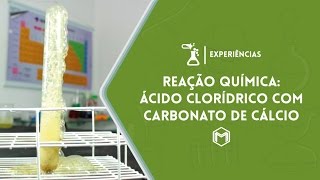 EXPERIÊNCIA  Reação Química Ácido clorídrico com carbonato de cálcio [upl. by Eboj398]