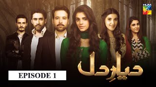 Diyar e Dil Episode 1 HUM TV Drama [upl. by Moreta]