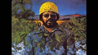 Lonnie Liston Smith  Summer Nights [upl. by Germayne]