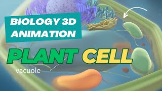 The Secret World Inside Plant Cells  3D Animation Reveals [upl. by Larrabee]