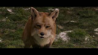 The Chronicles of Narnia  Fox To Stone HD [upl. by Enneira]