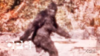 The Film That Made Bigfoot A Star  OPB [upl. by Adnilemre]