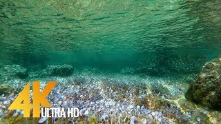 Underwater of the Adriatic Sea  4K Nature Relax Video  Relaxing Music [upl. by Haden578]