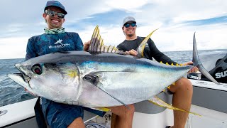 Monster Yellowfin Tuna [upl. by Tavi31]