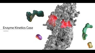 Labster Virtual Lab Enzyme Kinetics Simulation [upl. by Dnomaj]