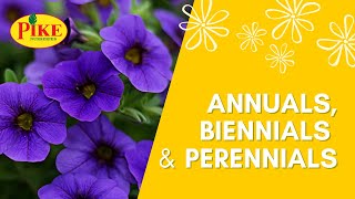 The Difference Between Annuals Biennials amp Perennials [upl. by Servetnick]