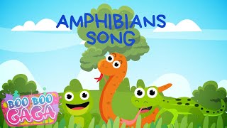 The Amphibian Song for Kids by Boo Boo Gaga booboogaga [upl. by Halludba545]