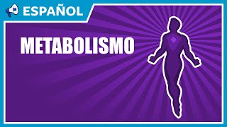 ¿Qué es el Metabolismo [upl. by Ayatal]