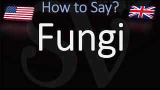 How to Pronounce Fungi [upl. by Akaya554]