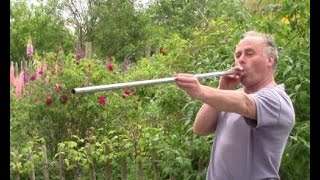 Excellent Homemade BlowPipe Dart Gun From Household Items [upl. by Rankin]