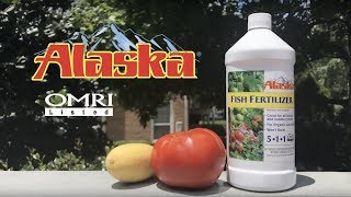 How to Use Alaska Fish Fertilizer [upl. by Nikaniki]