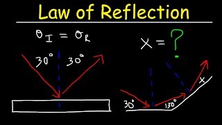 Law of Reflection  Geometric Optics  Physics [upl. by Horne750]