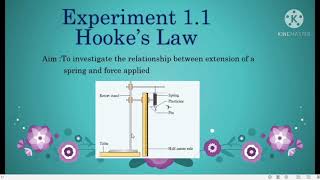 14 Experiment 11 HookesLaw [upl. by Traci]