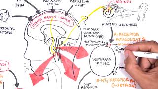 Pharmacology  Antiemetics [upl. by Dajma713]