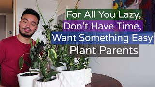 5 LowMaintenance Houseplants for The Lazy Plant Parent [upl. by Geesey]