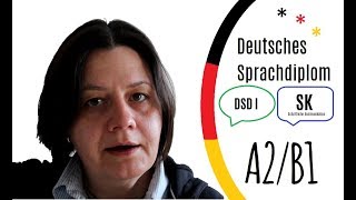 A2B1 SK im DSD I  Modellsatz 2  Thema Lesen [upl. by Noyr309]