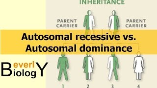 Autosomal Recessive vs Autosomal Dominance [upl. by Aztin]