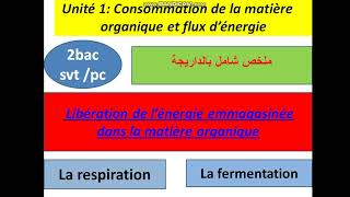 Consommation de la matiére organique 2bac svt [upl. by Lelia]