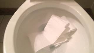 Kohler Highline Toilet Review [upl. by Erkan]