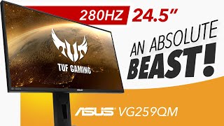 ASUS TUF VG259QM  An ABSOLUTE MONSTER  Detailed Review [upl. by Paviour693]